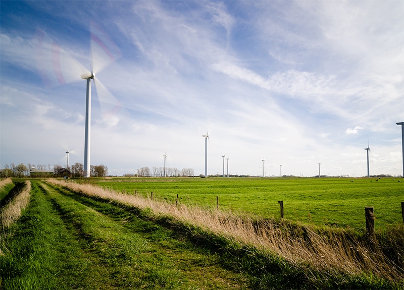 Digital Terrain Model - photograph of windmills on farmland